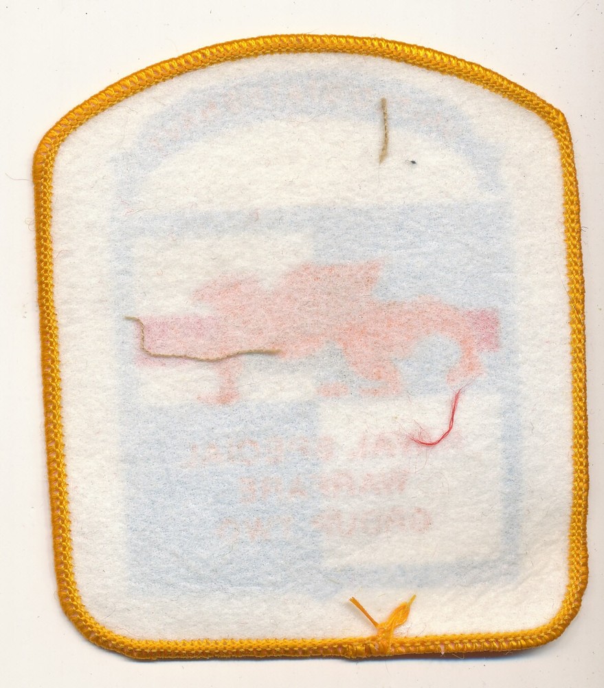 USN Naval Warfare Special Group Two patch silkscreen unknown maker 1980s