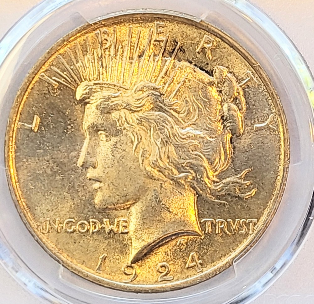 1924-P PCGS MS-64 slight even toning Peace Silver Dollar #341