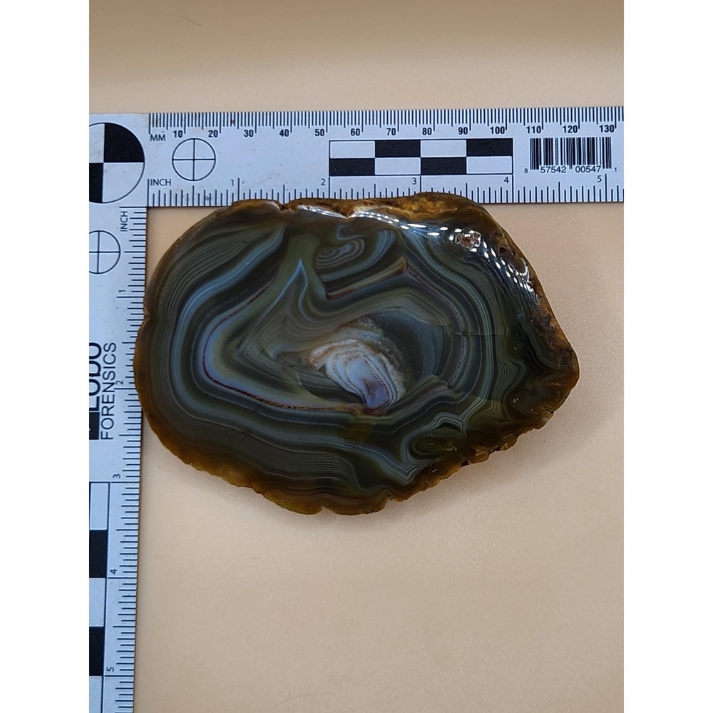 Island Agate Polished Half Nodule