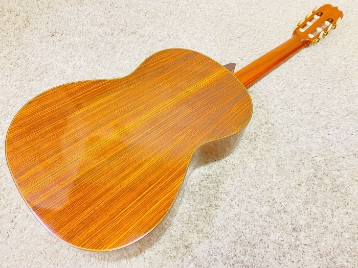 No Brand Solares A-1978 Classical Guitar Hard Case All Solid Ply