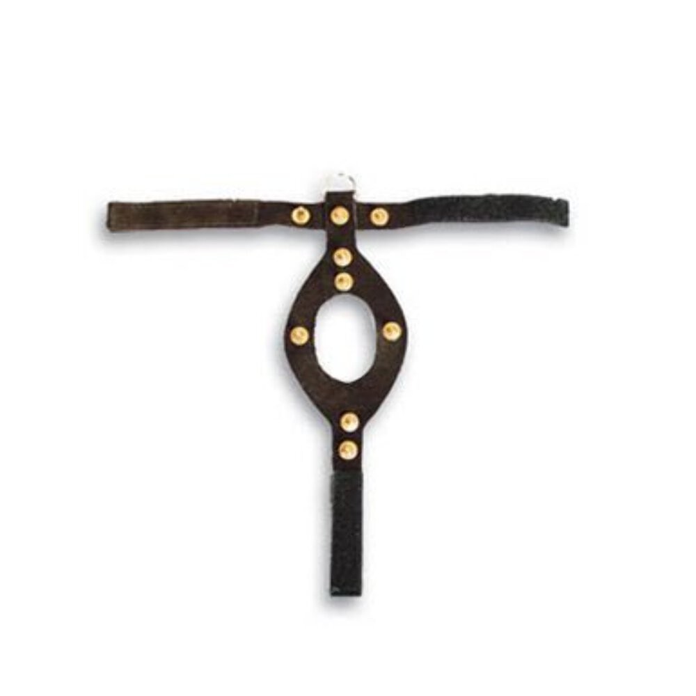 Studded Pheasant Harness