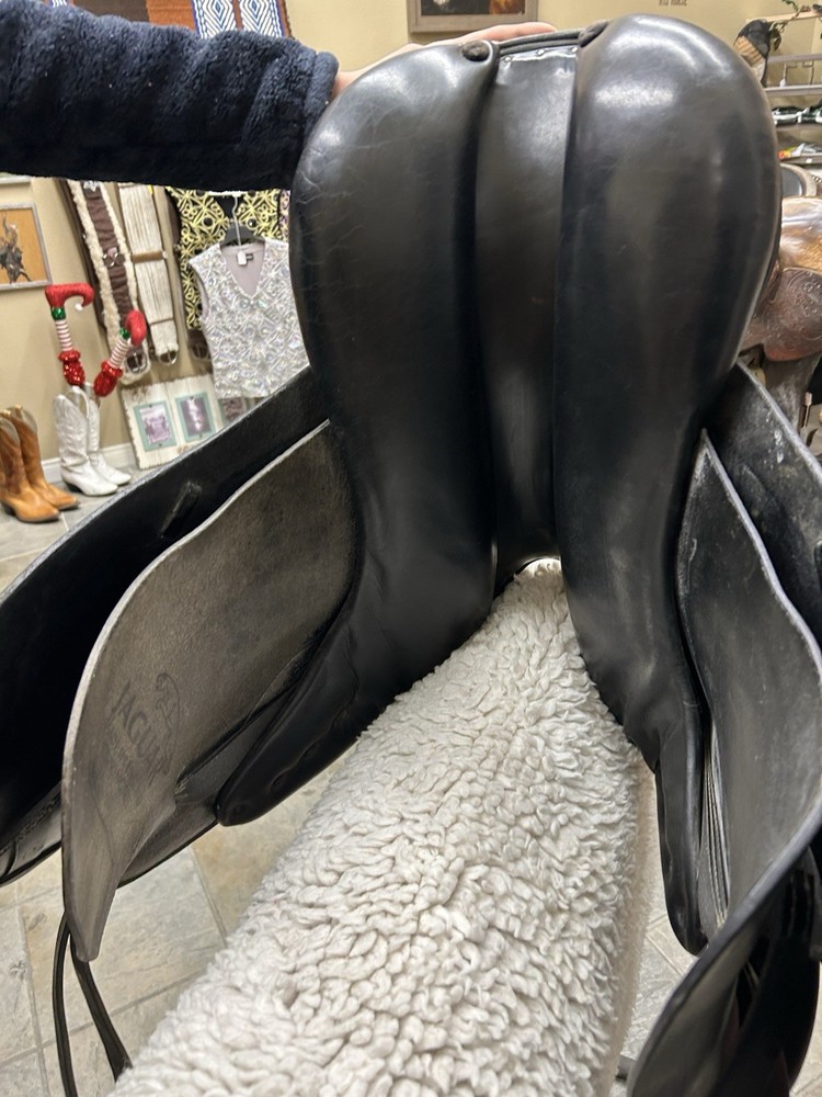 Jaguar Harry Dobbs 17.5 Reg Tree