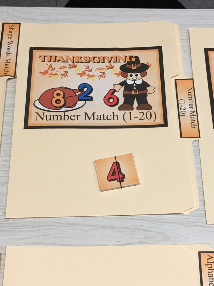 Thanksgiving - 10 File Folder Set - Activity Set - Teaching - DIY PRINTED