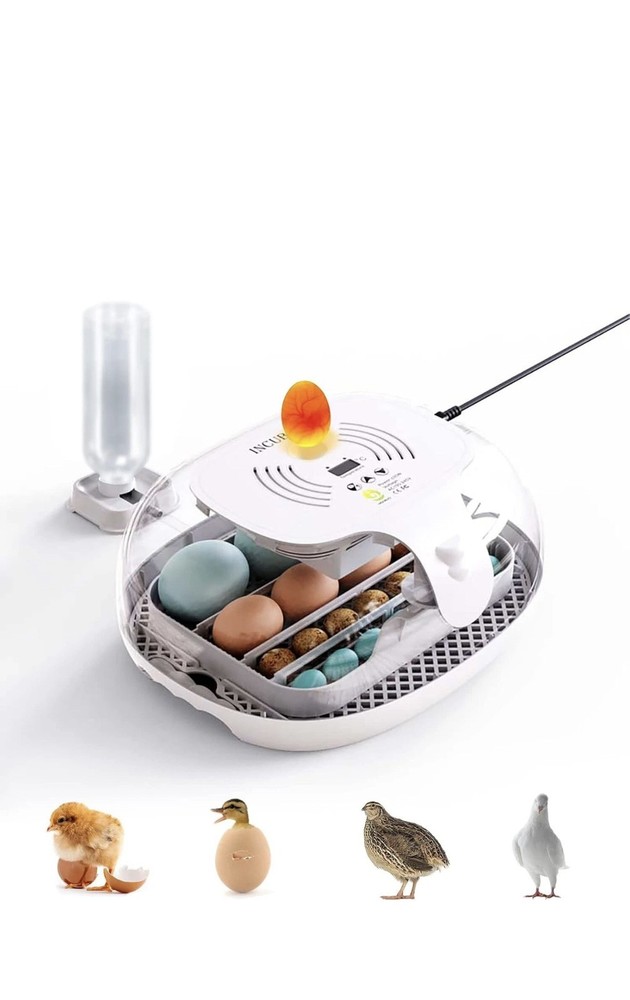 Automatic Egg Flipper LED Egg Candle, Adjustable Egg Tray - Open Box