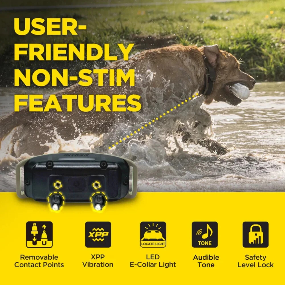 Dogtra 1900X Remote Training E-Collar – Next-Gen E-Collar with Unrivaled Perform