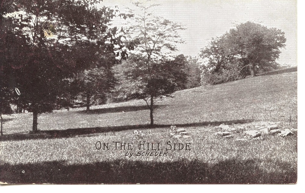 ON THE HILLSIDE - PC1069