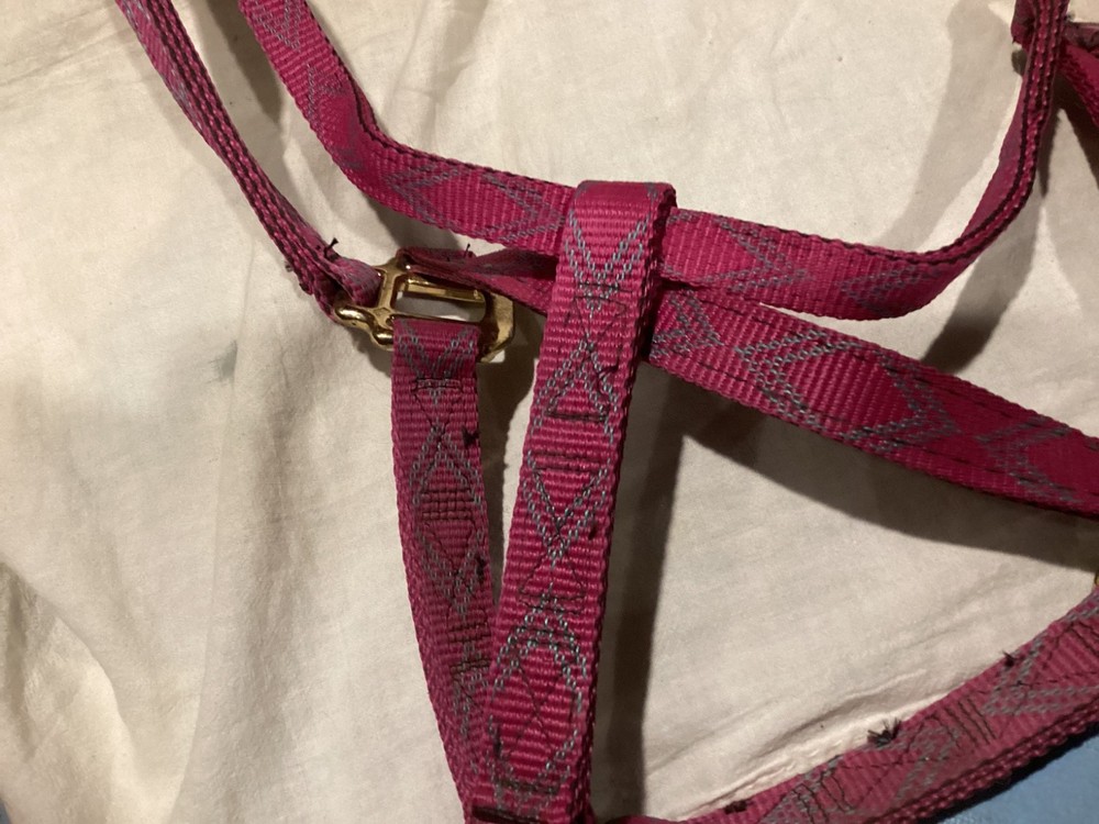 Nice Stockmen's Nylon Horse Halter