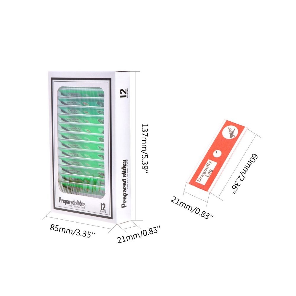 60Pcs Prepared Microscope Slides Set - Educational Specimens for Kids & Students