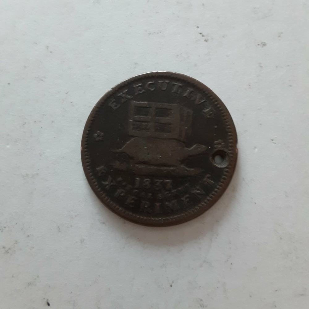 1837 Andrew Jackson Executive Experiment Jackass Turtle