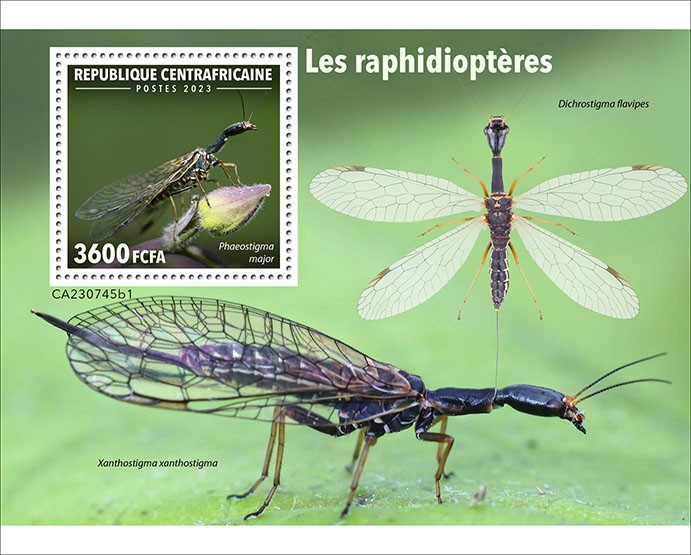 Snakefly