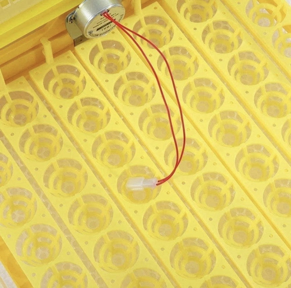 56 Digital Egg Incubator with Automatic Turner, Display, Green