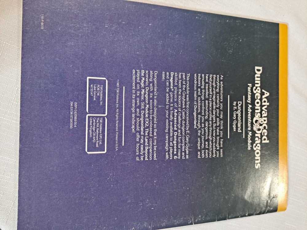 D&D EX1 Fantasy Adventure Module