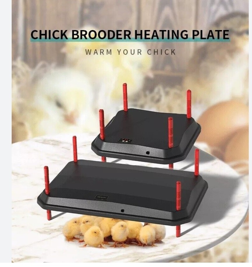 SMART BROODER HEATING PLATE Upgrade Chick Brooder Heating Plate, 10" x 10" Brood