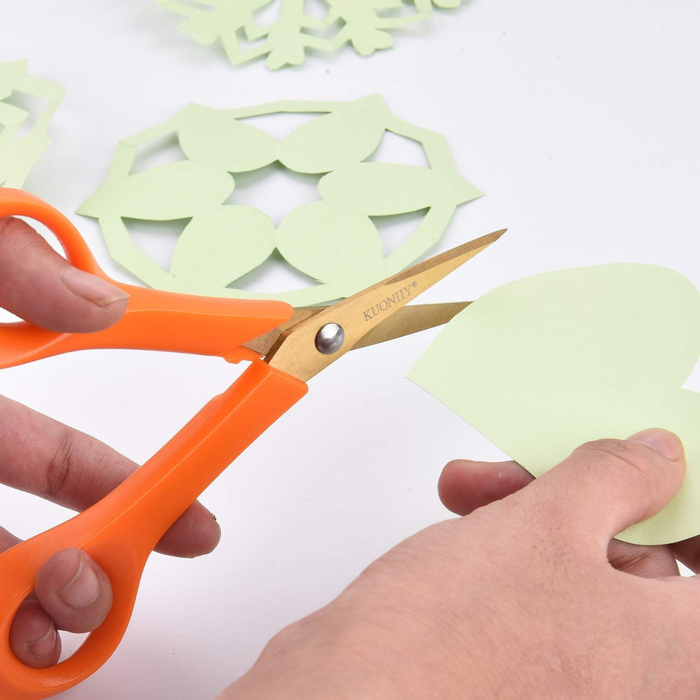 Micro-Tip Scissors, Precision Titanium Blades, 6 Inch Craft Detail Scissors I...