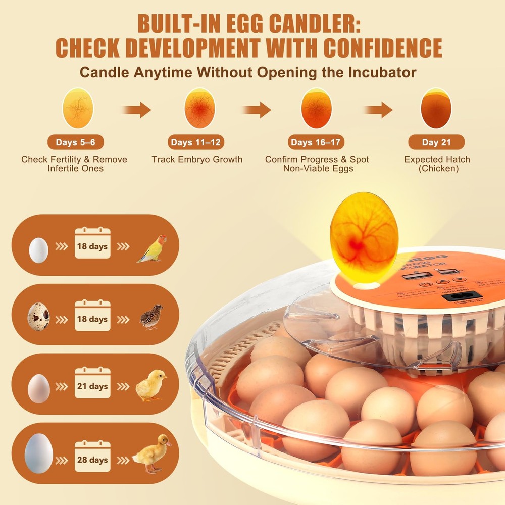 Smart Lite 30-Egg Incubator for Experienced Hands-On Hatchers, Auto Egg Turn,...