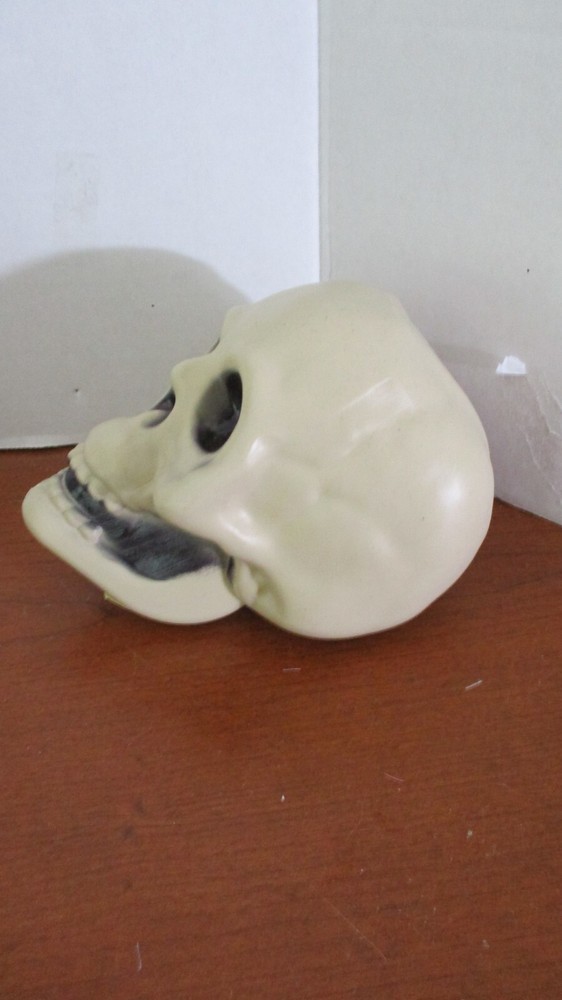 Plastic SKELETON SKULL HEAD HALLOWEEN DECORATION 7" x 5"