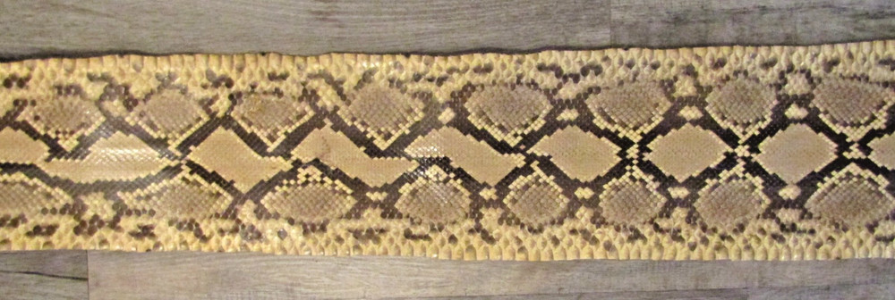 Taxidermy Genuine 15' 4" Long Reticulated Python Hide