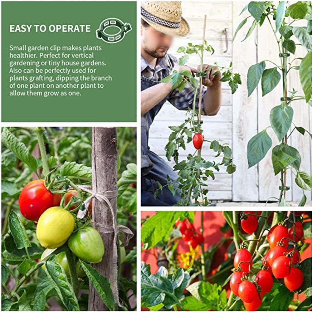 Efficient Solution for Fixing Solanaceous Vegetables Plant Vine Ties 100PCS