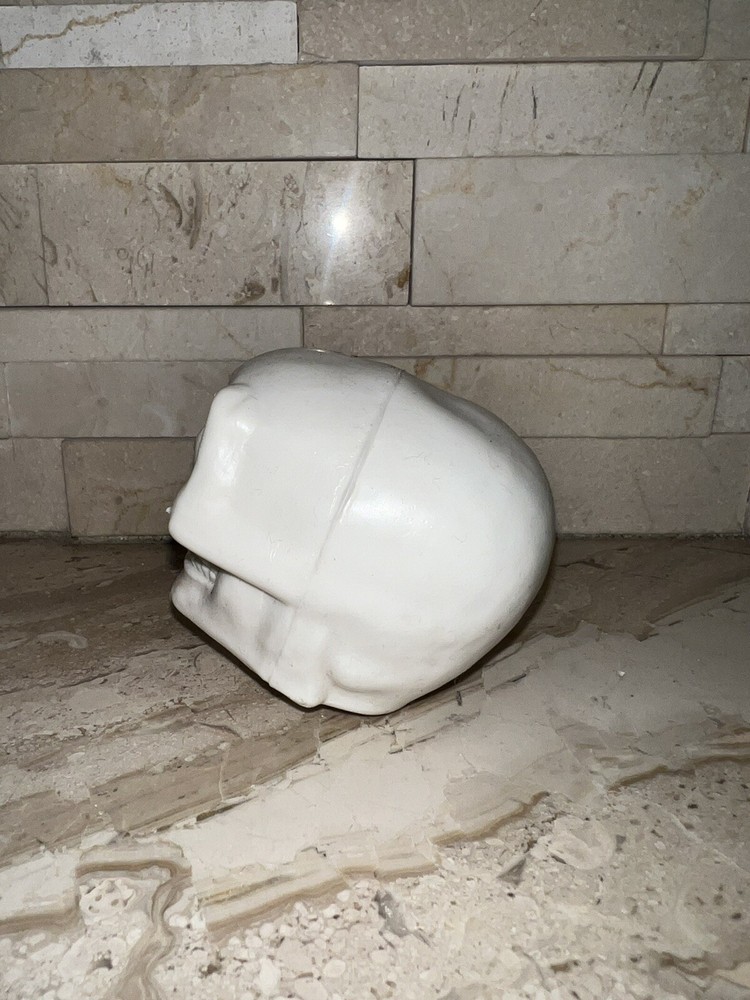 SQUISHY HALLOWEEN SKULL WITH VISIBLE BRAIN MATTER SICK!