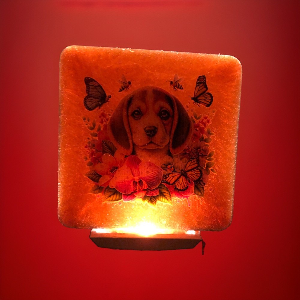 Nightlight￼