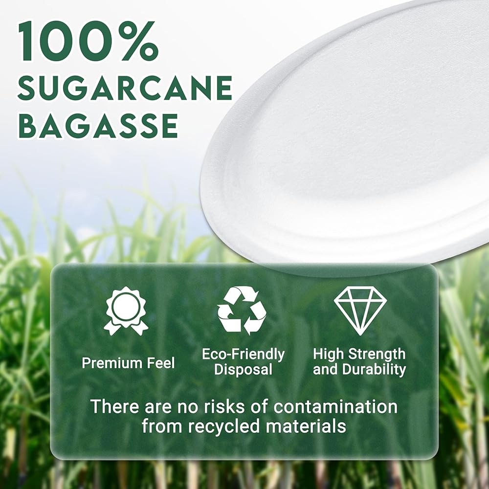 postable Oval Paper Plates 12 inch Bulk, Heavy Duty
