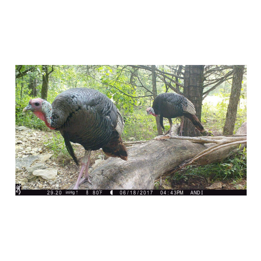 Browning Dark Ops Pro X Trail Camera w Memory Card Security Box Bundle