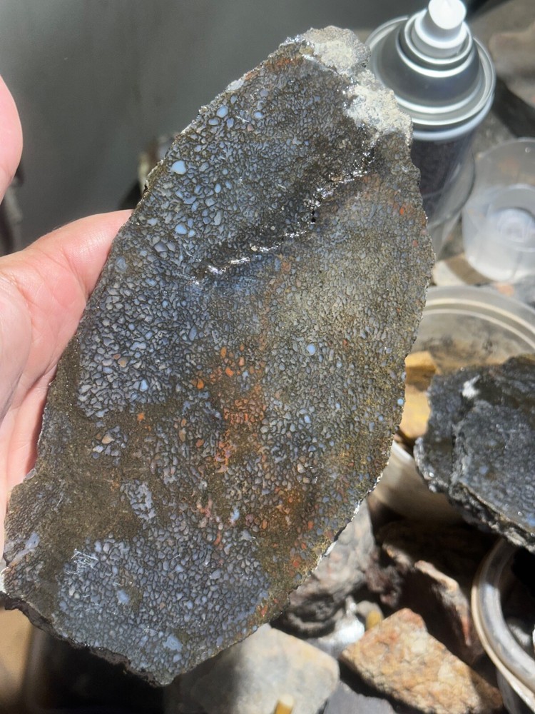 Dinosaur bone rough **hxtled large slab.