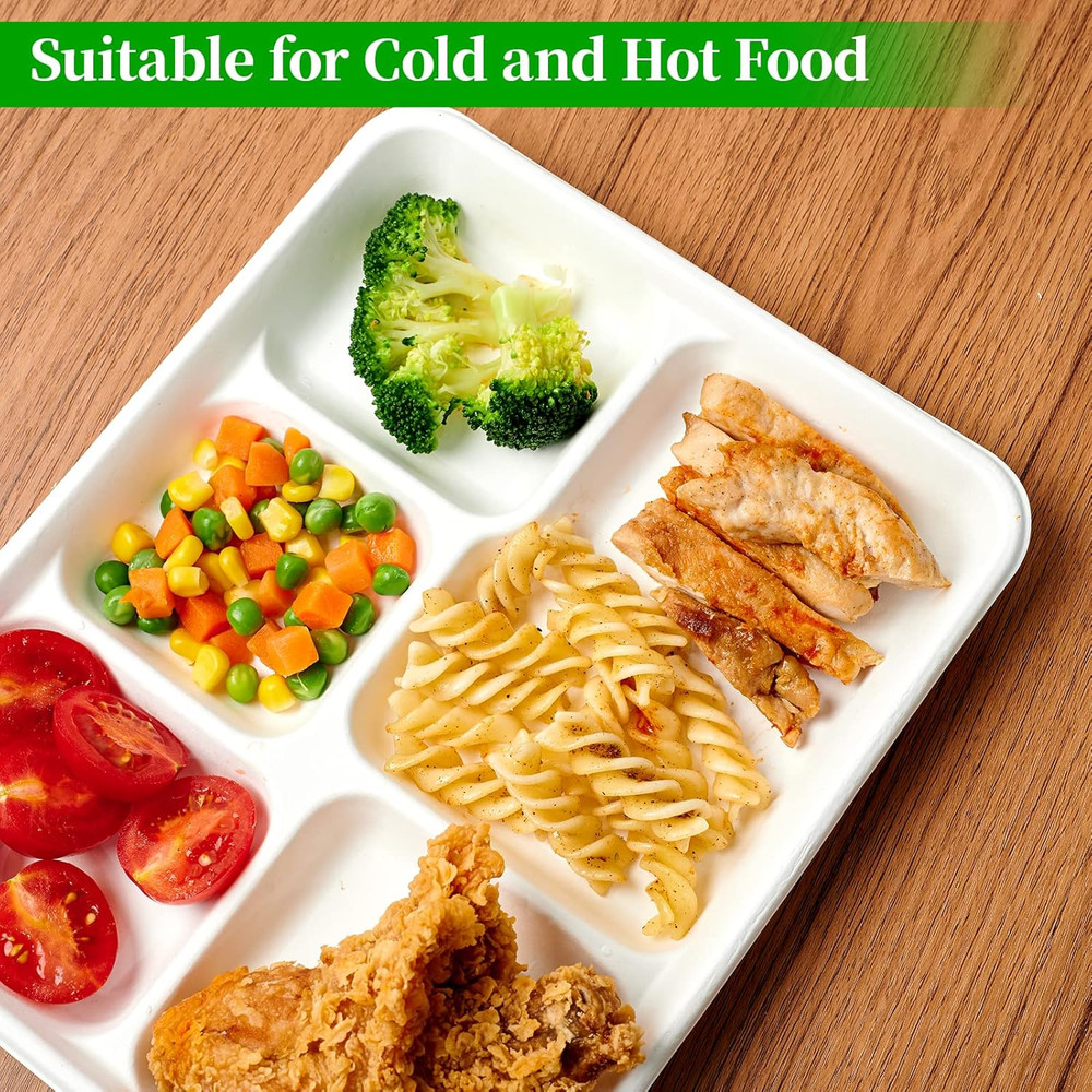 100% Compostable 5 Compartment Plates, 125 Pack Disposable Paper Plates, Heavy-D