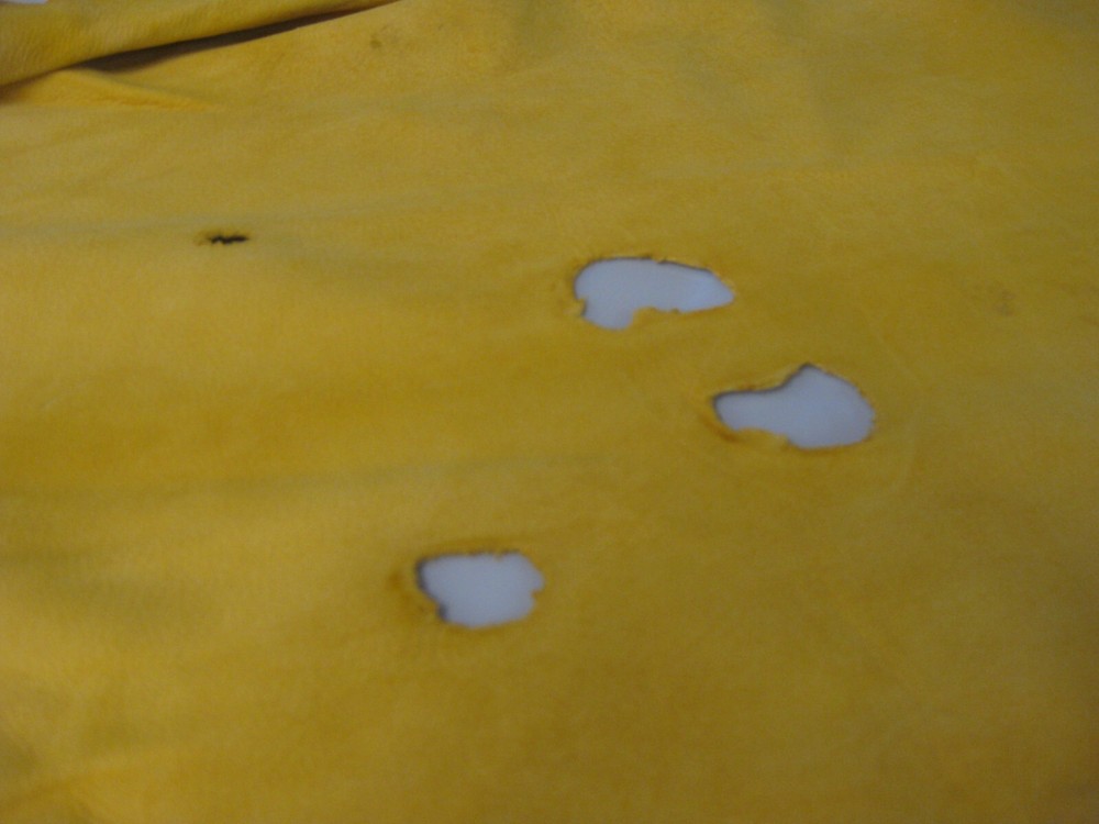 Buffed Deer Leather #0016457 Row 144