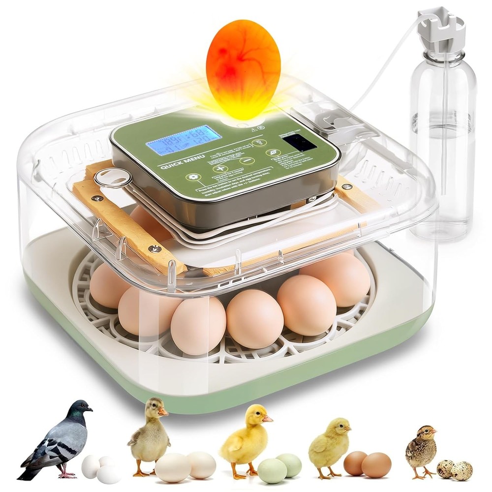 Automatic Egg Incubator 12 Eggs Humidity & Temp Control Hatch Brooding Box