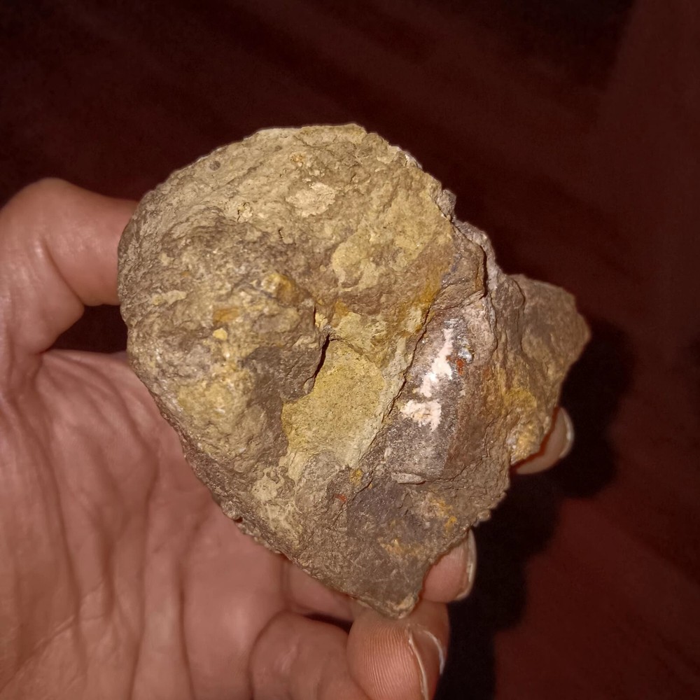 Calcopyrite* & Minerals Assorted