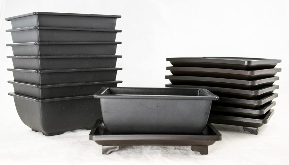 8 Sets Rectangular Plastic Shohin Bonsai Training Pot, Cactus & Succulent Plante