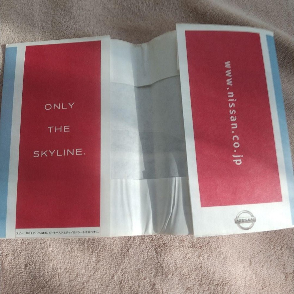 ④⑦Skyline paperback cover