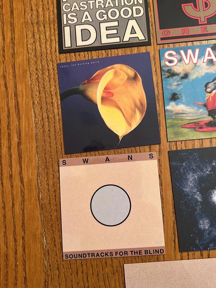 Swans fridge magnets