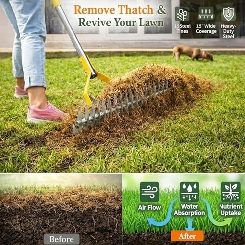 Professional Manual Thatch Rake - Heavy Duty Lawn Dethatcher with Long Handle