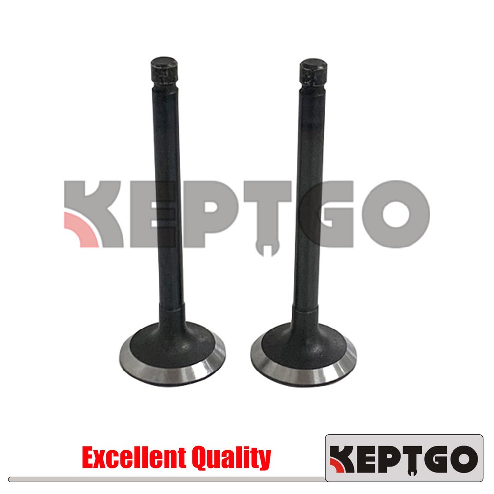 Z482 Intake Valve For Kubota