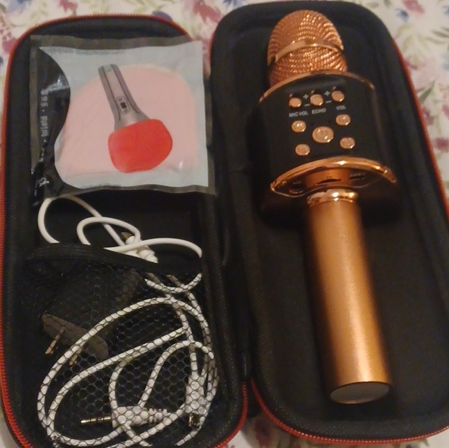 Gold Bluetooth Wireless Karaoke Microphone with Carrying Case