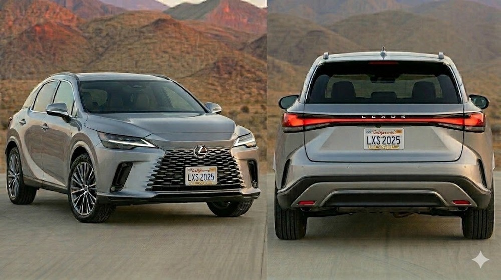 LEXUS 3D STAINLESS STEEL FRAME