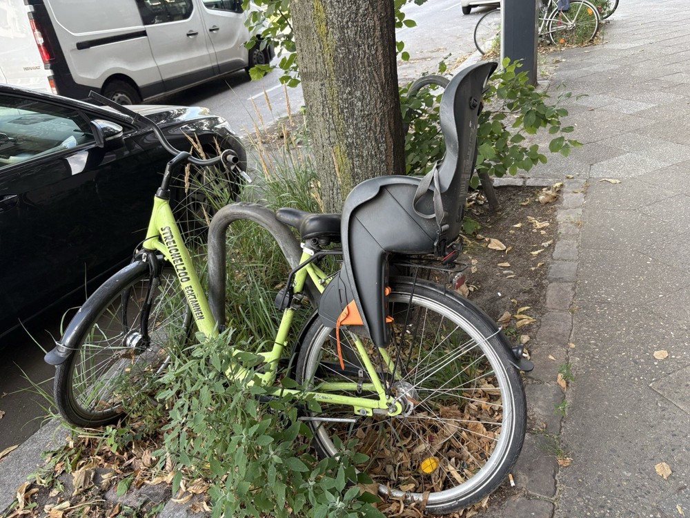Cycle With Child Seat