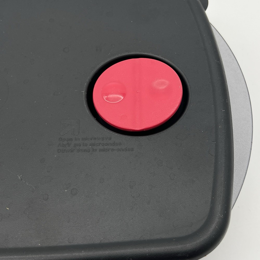 TUPPERWARE Black Microwave 11.75x7.5" Rectangular Divided Dish # 3990