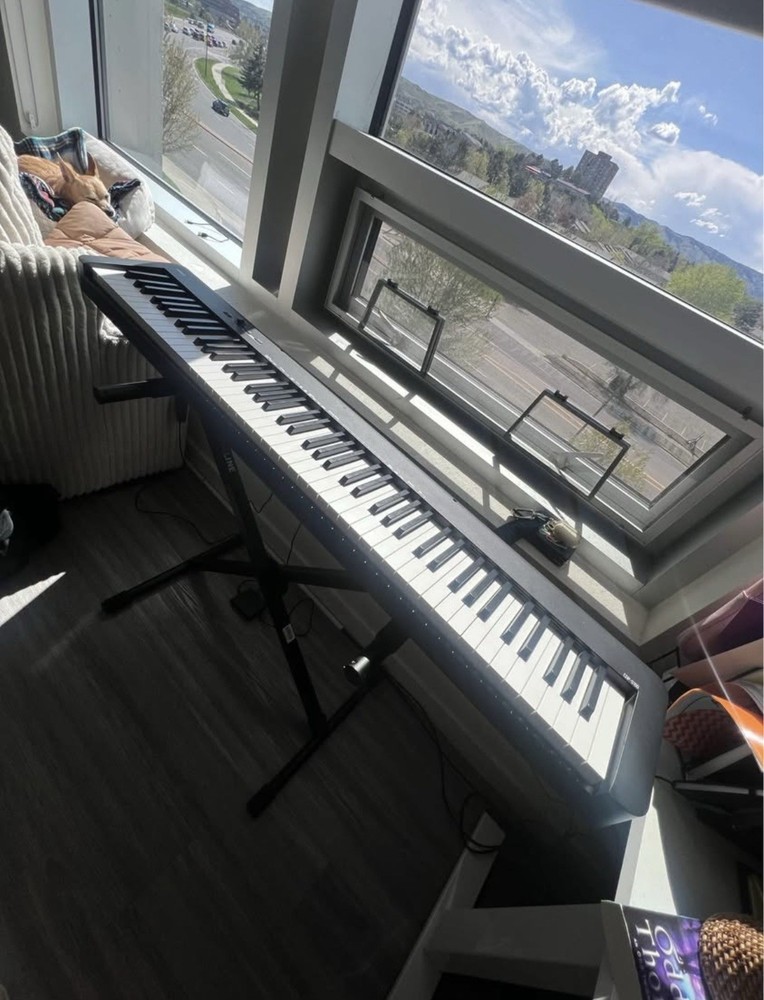 Casio CDP-S100 Digital Piano