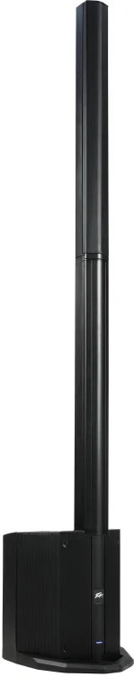 Peavey LN 1063 Column Array
