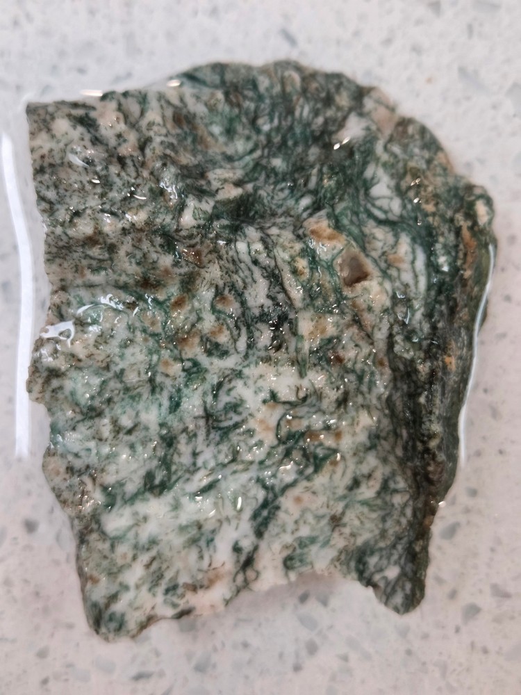 Tree Agate Rough