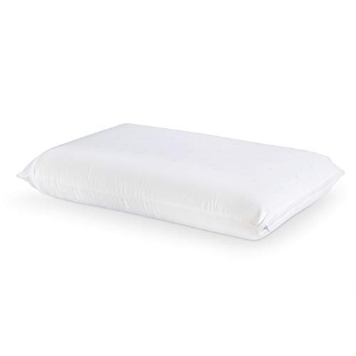 Water Memory Foam re-Invented with Waterbase Technology - Single Pack Pillow