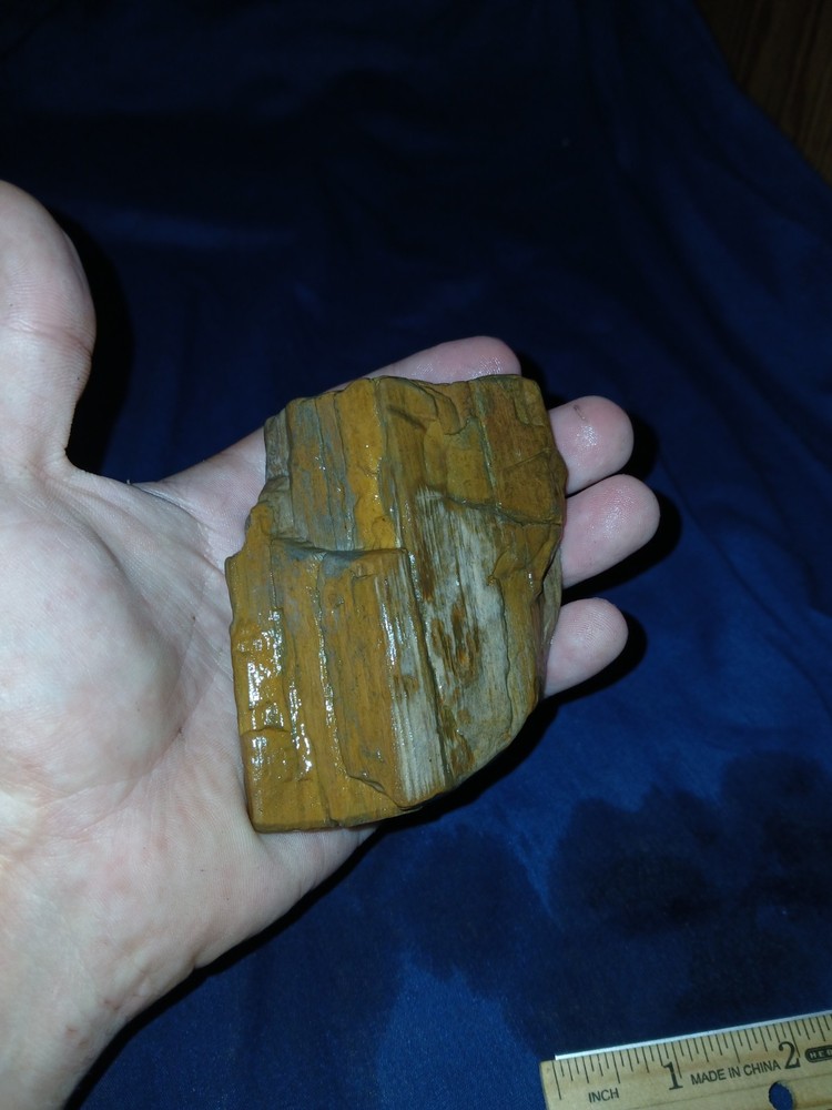 9.oz Texas Petrified Wood