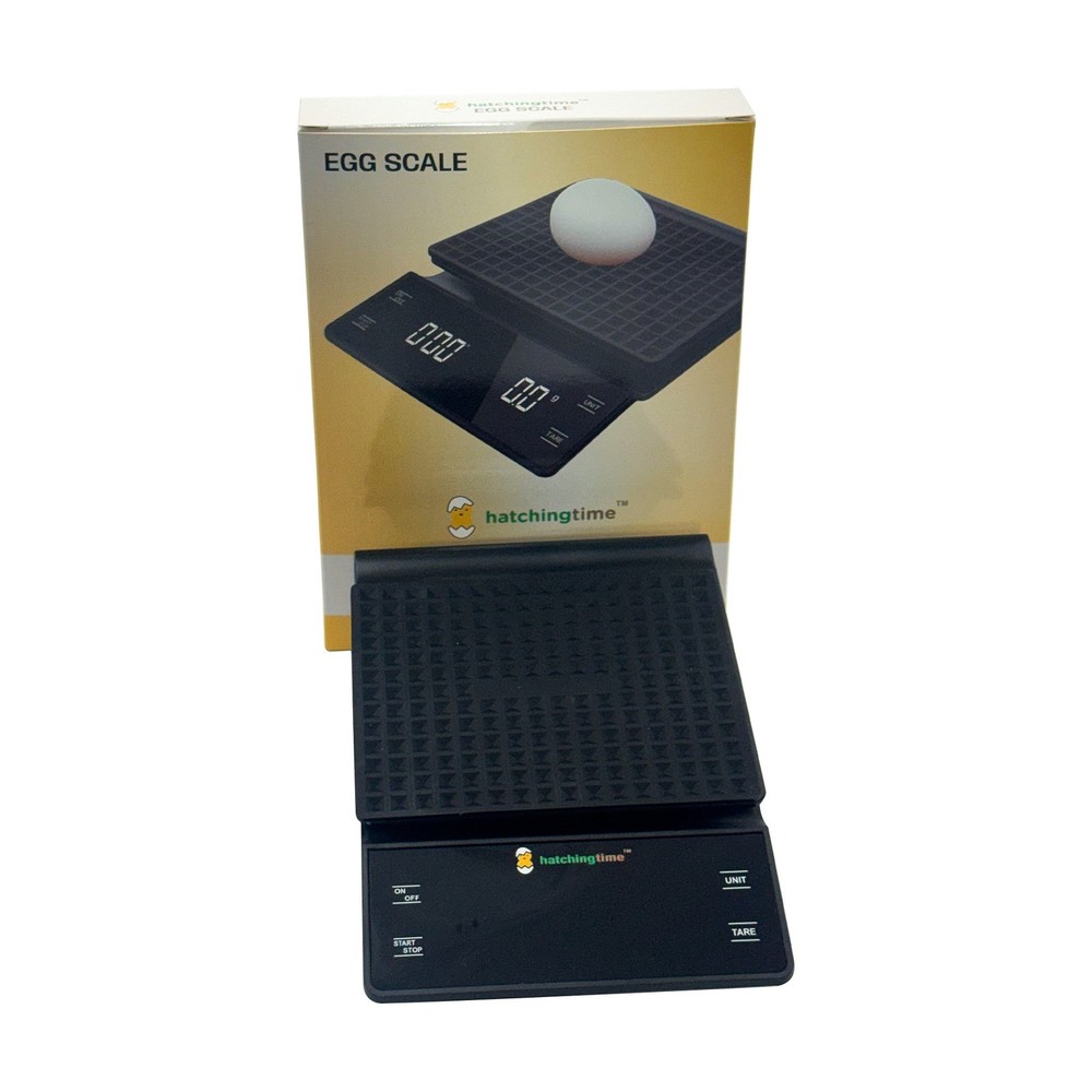 Digital Egg & Kitchen Scale - 6.6 lb Capacity