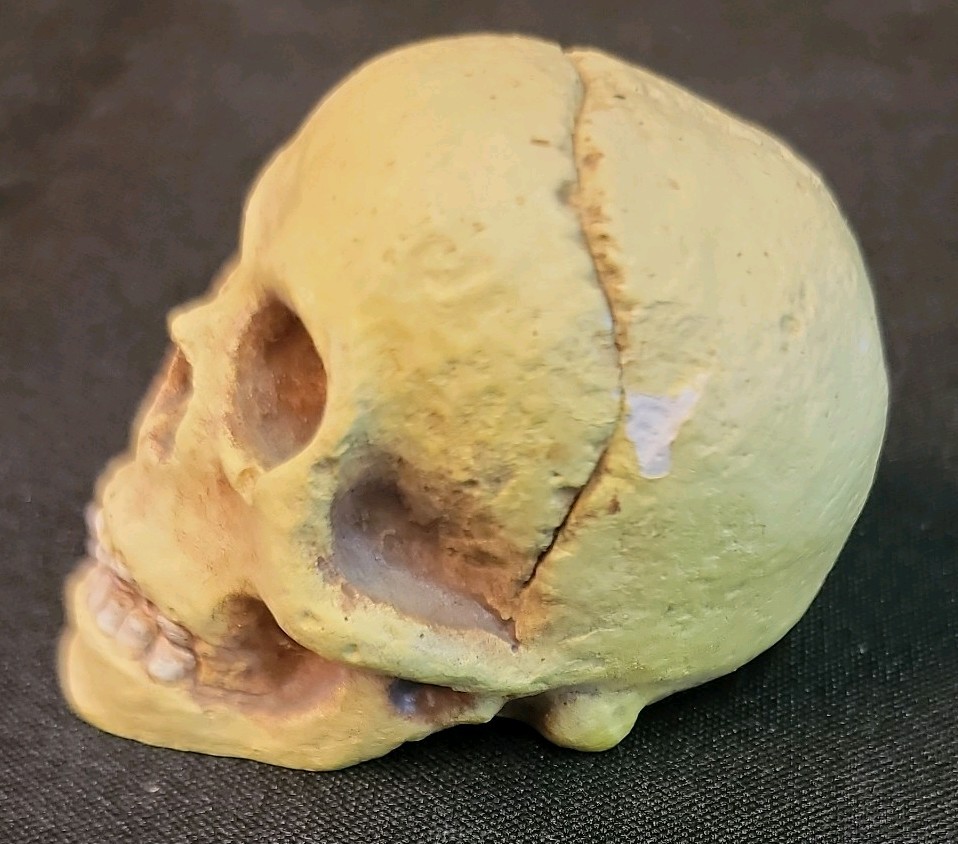 10 Piece Skull Lot
