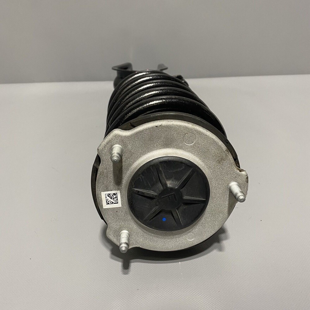 TESLA MODEL 3 STRUT SHOCK COIL RIGHT FRONT 2017 2018 2019 2020 OEM