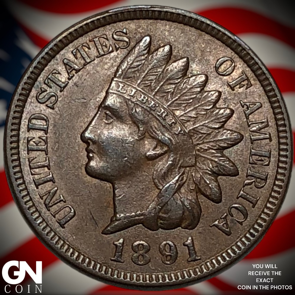 1891 Indian Head Cent Penny X7891