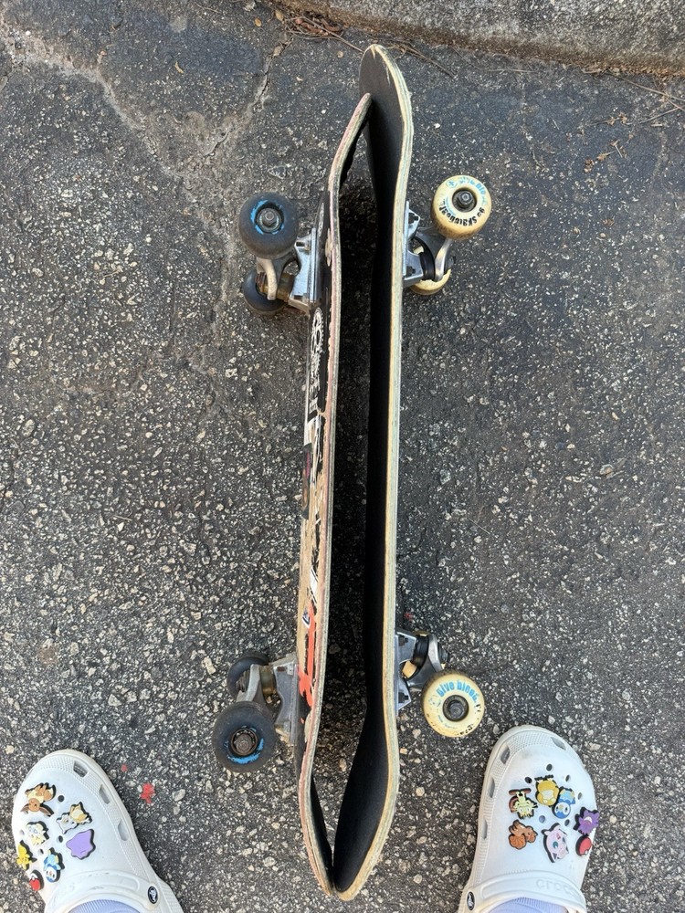 Complete Skateboards Decks